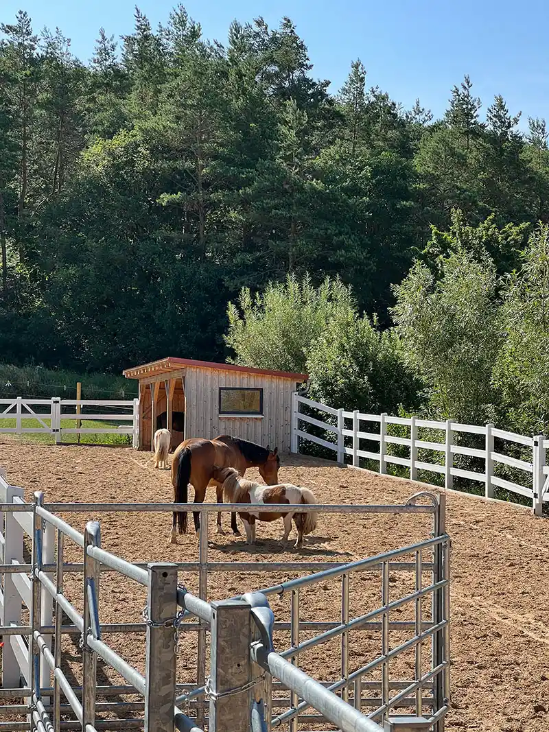 Weide Jura Ferienhof
