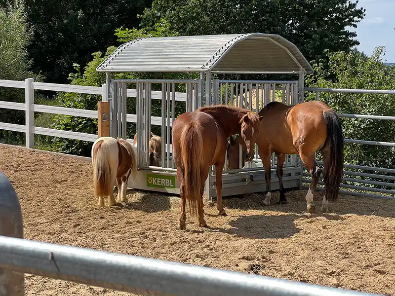 Stall Jura Ferienhof
