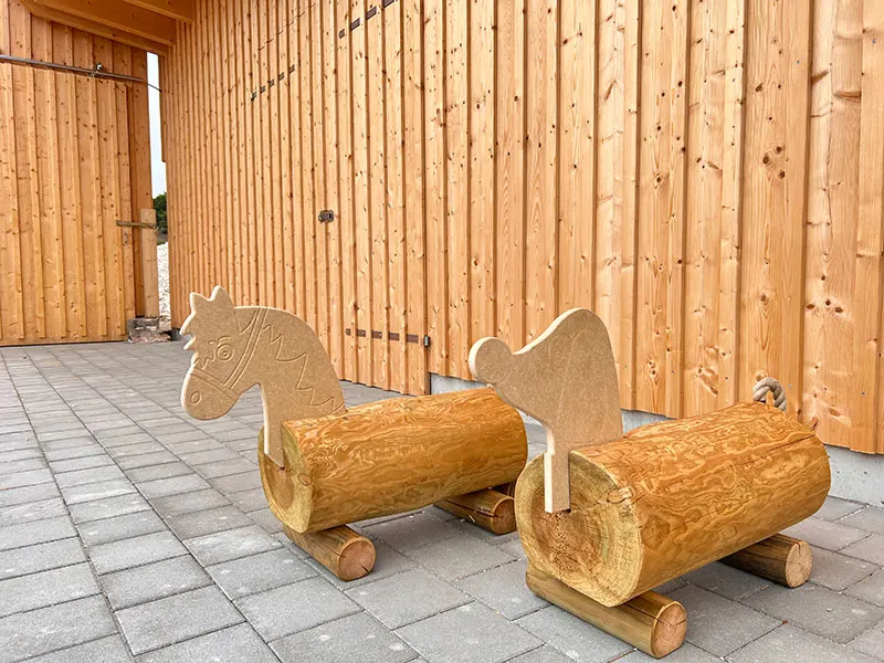 Ponyzeit für Kinder