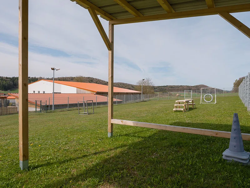 Eingezäunte Hundewiese